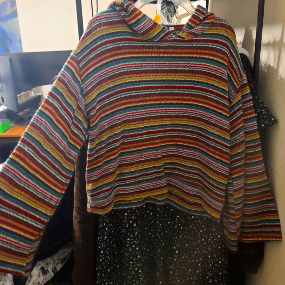 Earthbound hooded sweater